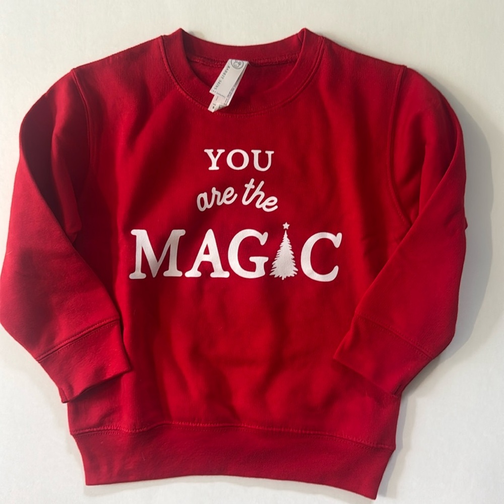 NWOT - The Wishing Elephant Shirt- TWE - You are the Magic Christmas Pullover -4